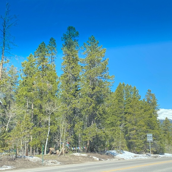 Meet your Posher, Luz - Picture 1 of 1